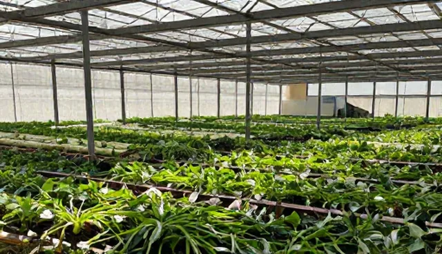 域名使用误区澄清：提升转化率的关键因素